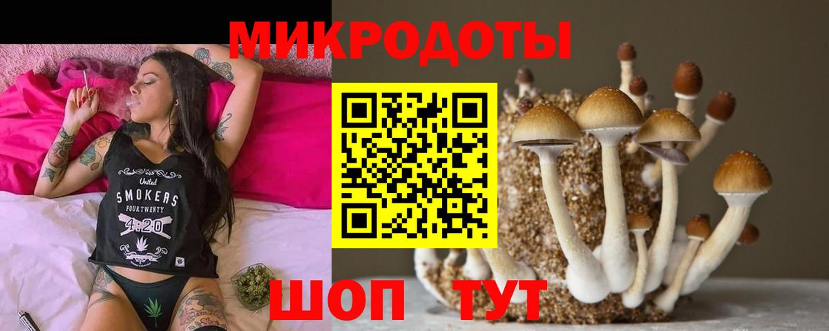 Галлюциногенные грибы Psilocybe  Вход с VPN  Краснодар 